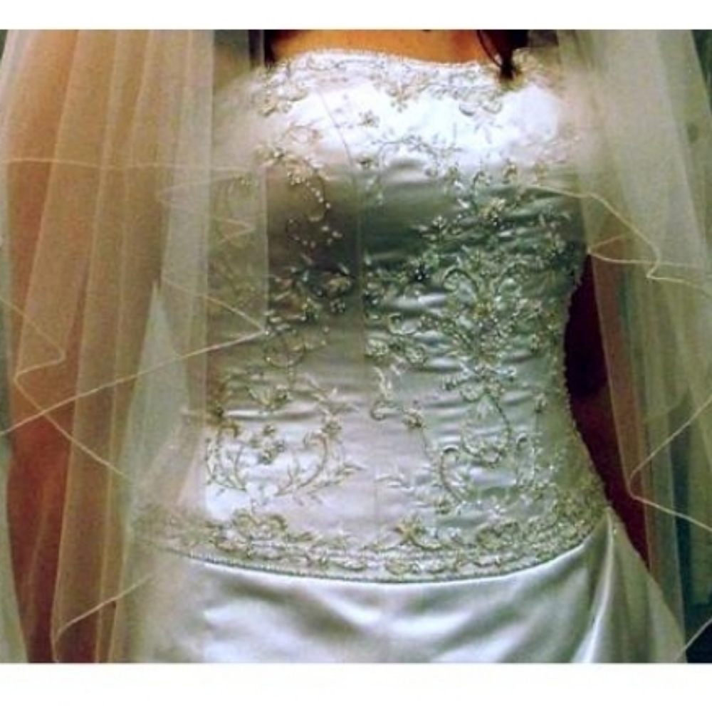 Never Worn Oleg Cassini Wedding Dress Sz 14 - Picture 5 of 16